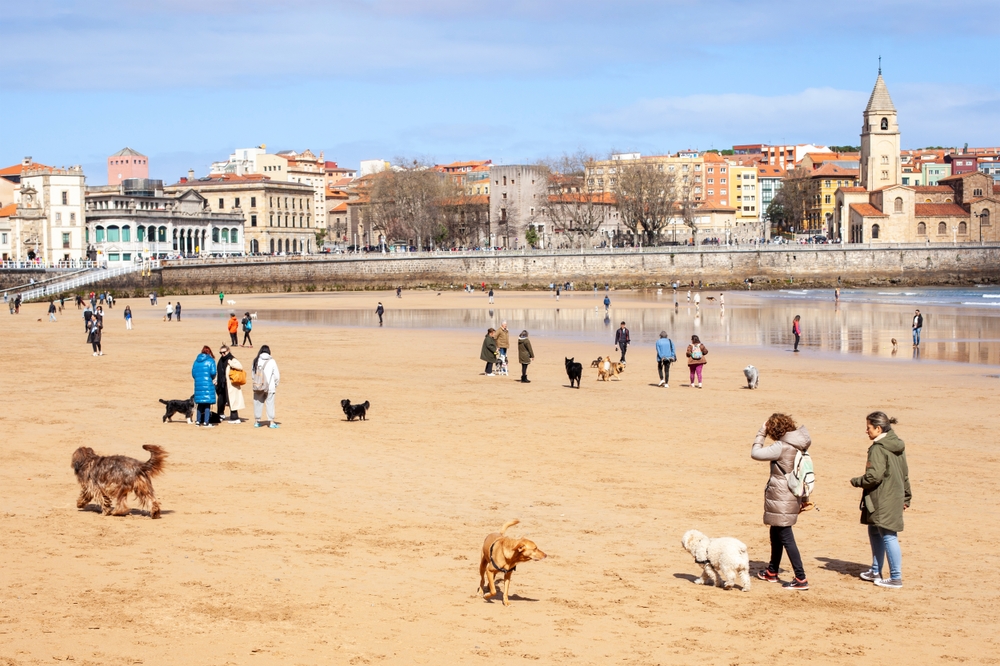 5 motivos irresistibles para visitar Gijón este invierno