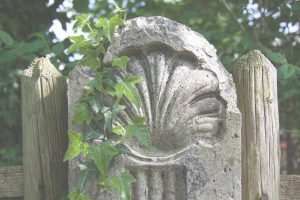 Por qué hacer el Camino de Santiago al menos una vez en la vida