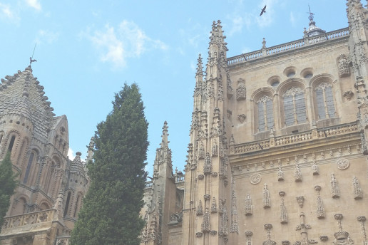 Los enigmas en las fachadas de Salamanca