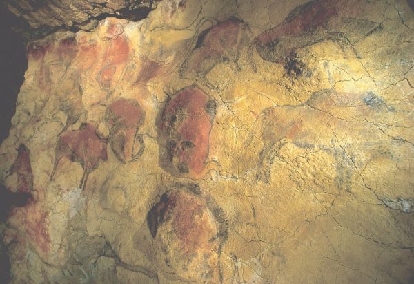 Museo de Altamira: Vive el arte rupestre