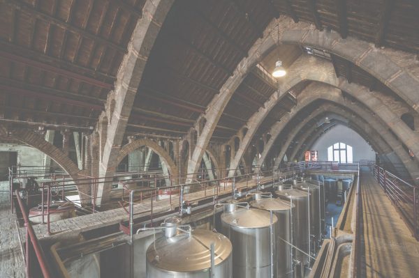 Vinos Catalanes: ¡Practica enoturismo!