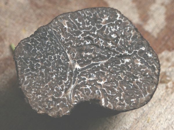 5 platos típicos aragoneses para las Navidades