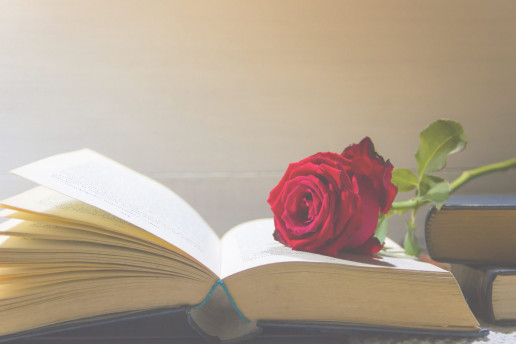 Libros y rosas, descubre Sant Jordi en Barcelona