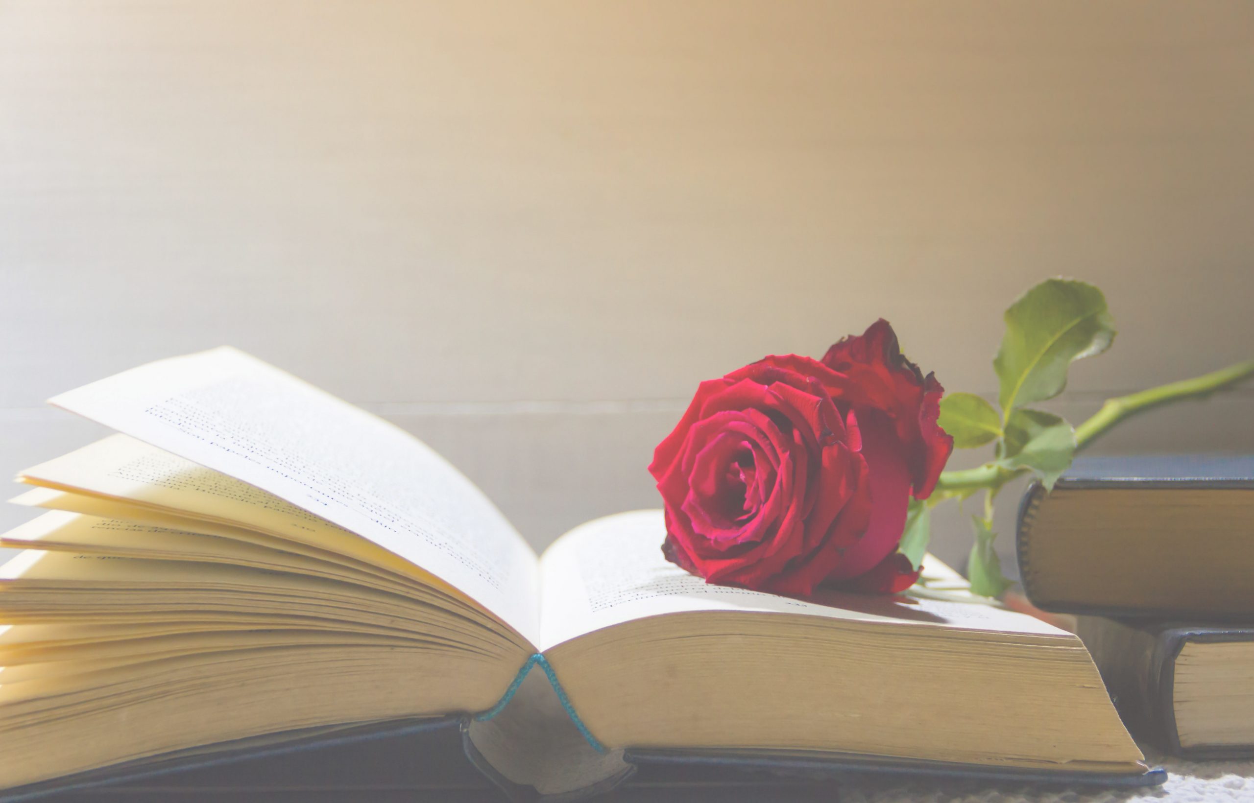 Libros y rosas, descubre Sant Jordi en Barcelona