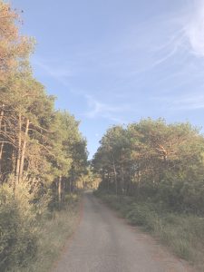 Disfruta del otoño en la Sierra de Guara