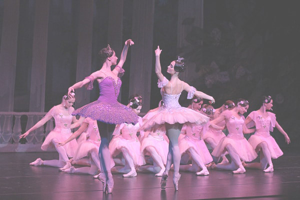 El Ballet Nacional Ruso llega a Burgos